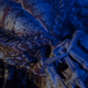 Image for article titled The High-Stakes Plan to Eliminate Deadly Superbugs